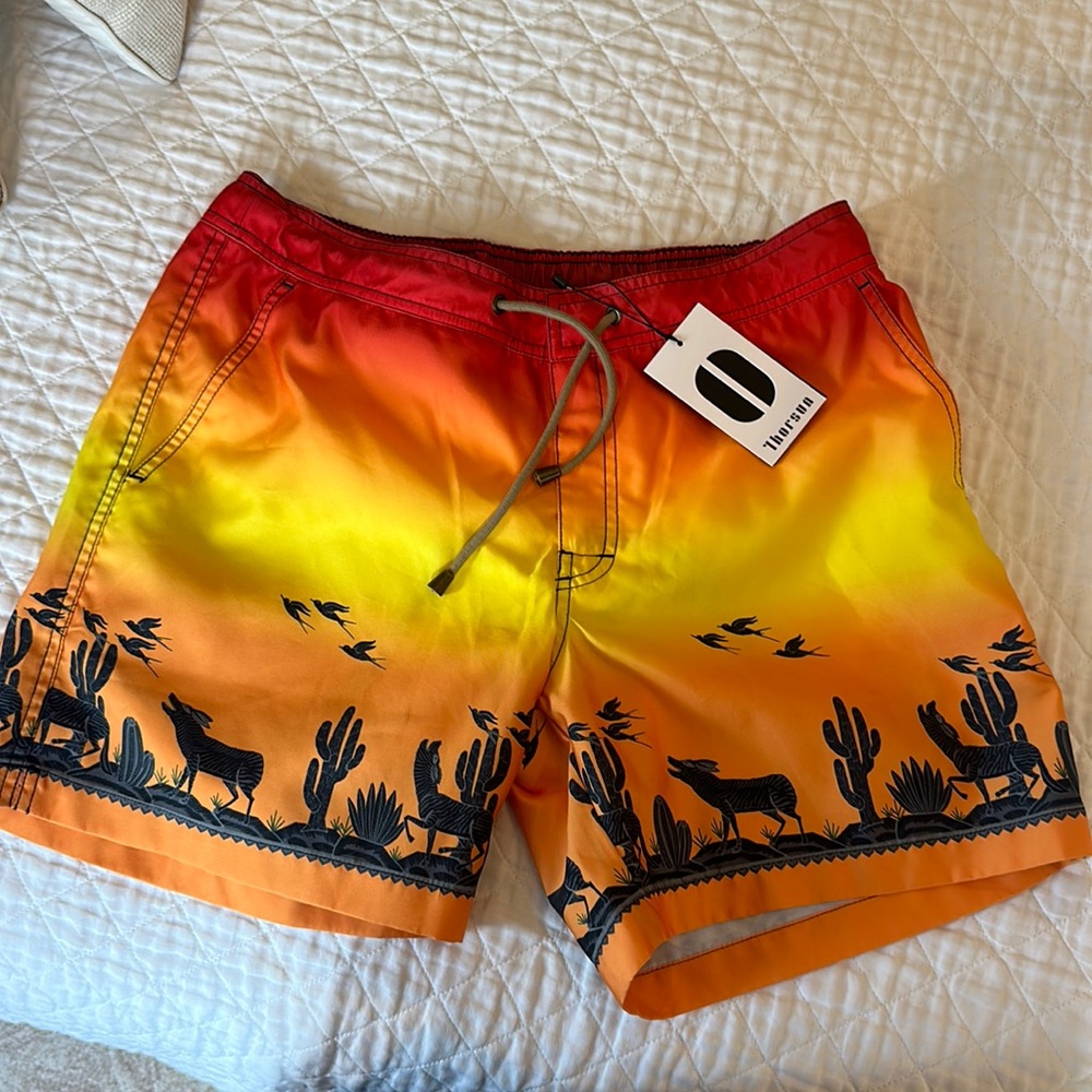 Thorsun Swim Trunks